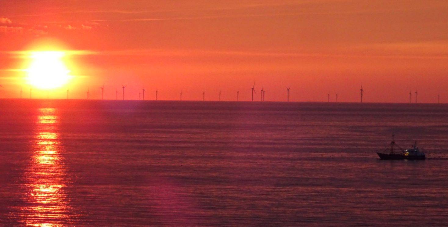 DigiD-oorlog; Odido claimfinanciering; Lekke(re) Chips(oft); AI-consultatie